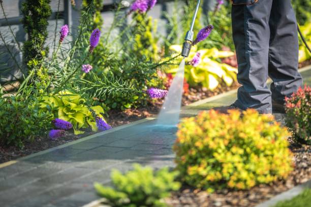 Best Post-Construction Pressure Washing  in Agua Dulce, CA